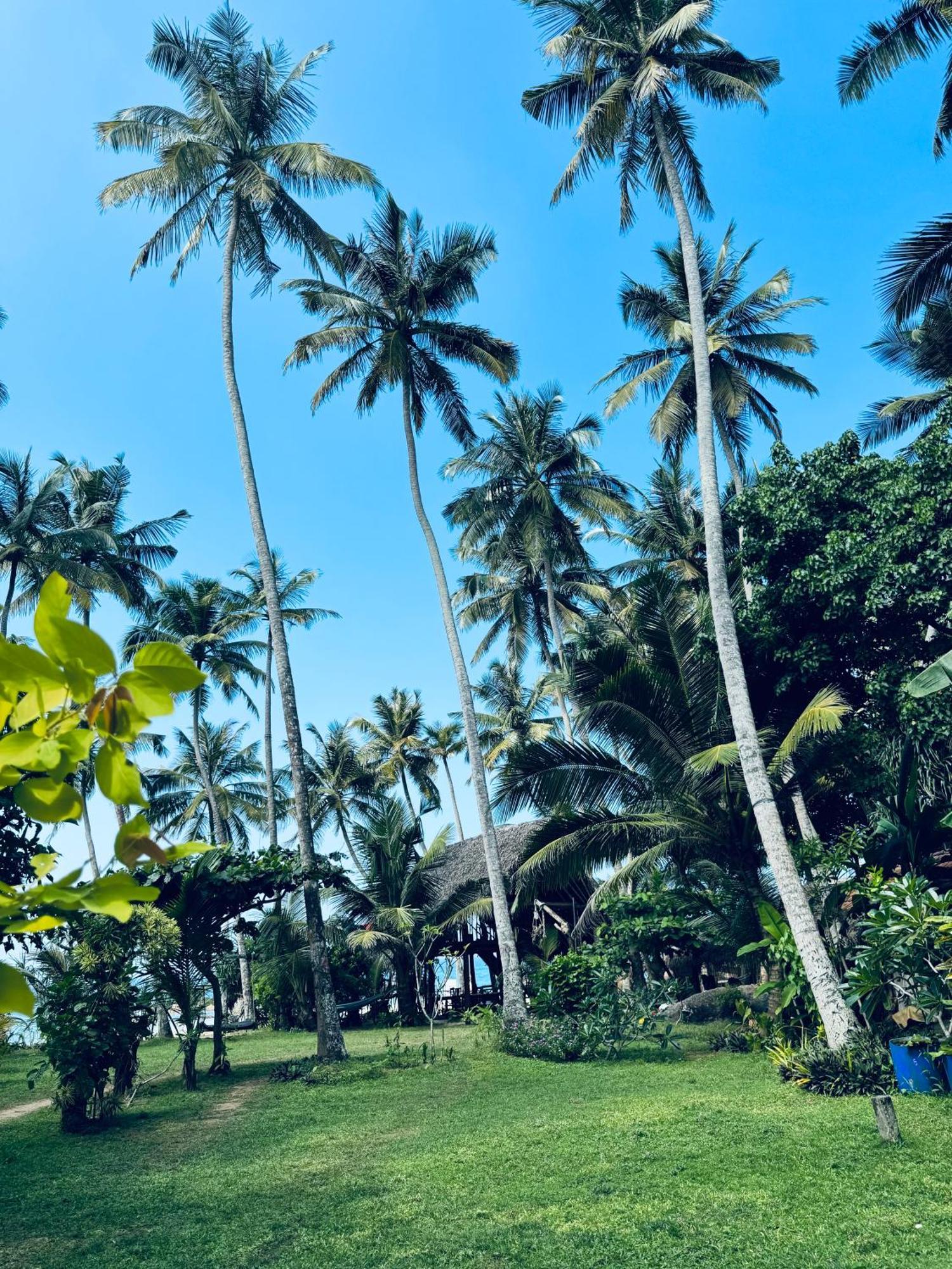 Villa La Kurumba Амбалангода Экстерьер фото